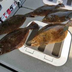 遊漁船 セトマリン 釣果