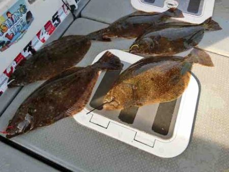 遊漁船 セトマリン 釣果