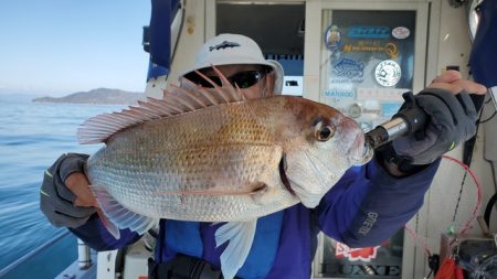 遊漁船 ニライカナイ 釣果