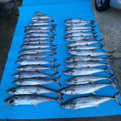 まるいち丸 ZERO-1 釣果