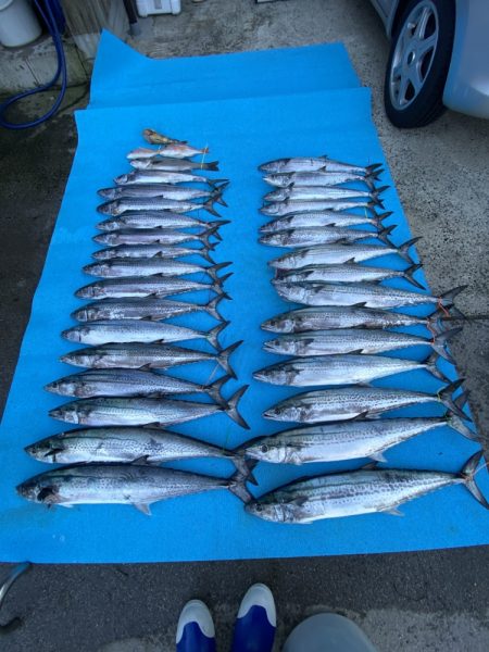 まるいち丸 ZERO-1 釣果