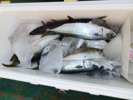 第二むつ漁丸 釣果