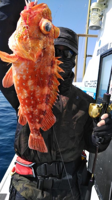 遊漁船 新鋭丸 釣果