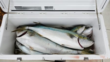 遊漁船　ニライカナイ 釣果