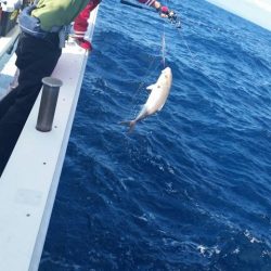 第五慶門丸 釣果