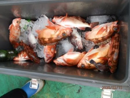 第二むつ漁丸 釣果