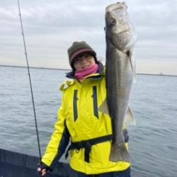 シーマジカル 釣果