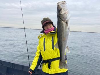 シーマジカル 釣果