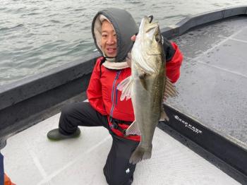 シーマジカル 釣果