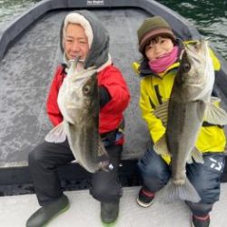 シーマジカル 釣果