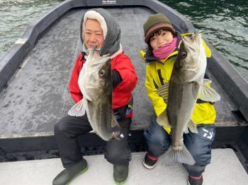 シーマジカル 釣果