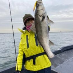 シーマジカル 釣果