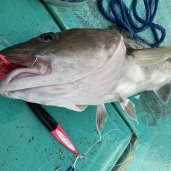 広進丸 釣果