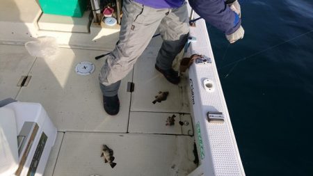 遊漁船 ニライカナイ 釣果