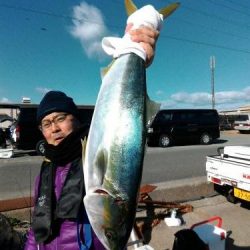 ファイヤードルフィン 釣果