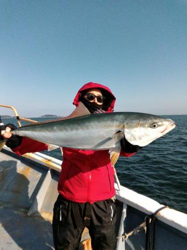 ファイヤードルフィン 釣果