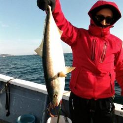 ファイヤードルフィン 釣果