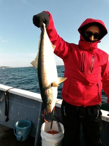 ファイヤードルフィン 釣果