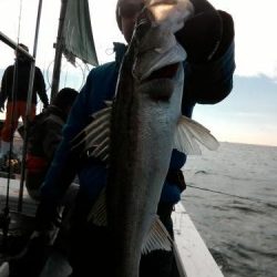 ファイヤードルフィン 釣果