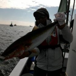 ファイヤードルフィン 釣果