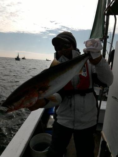 ファイヤードルフィン 釣果