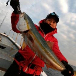 ファイヤードルフィン 釣果