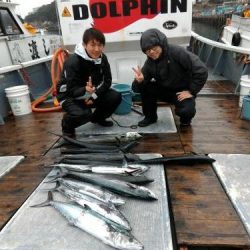 ファイヤードルフィン 釣果