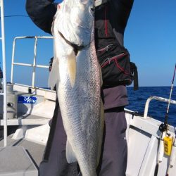 遊漁船 新鋭丸 釣果