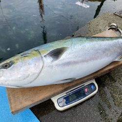 まるいち丸 ZERO-1 釣果