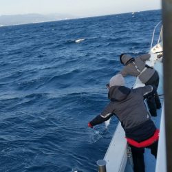 第五慶門丸 釣果