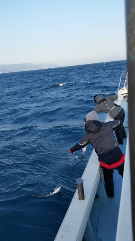 第五慶門丸 釣果