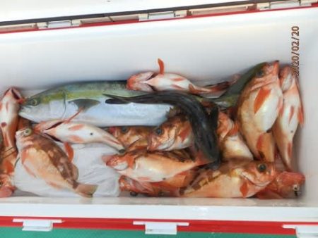 第二むつ漁丸 釣果