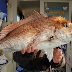 遊漁船　ニライカナイ 釣果