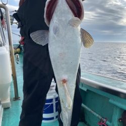 広進丸 釣果