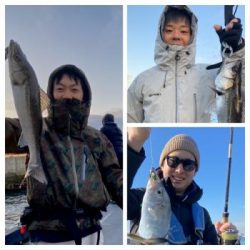 シーマジカル 釣果