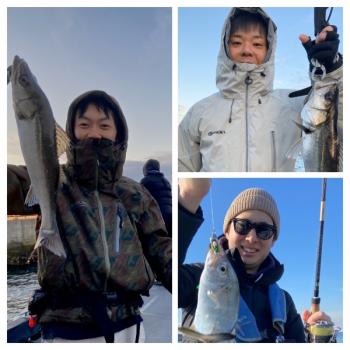 シーマジカル 釣果