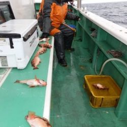 第二むつ漁丸 釣果