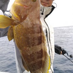 遊漁船 新鋭丸 釣果