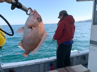 幸吉丸 釣果