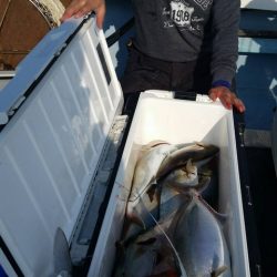 第五慶門丸 釣果