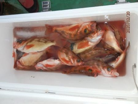 第二むつ漁丸 釣果