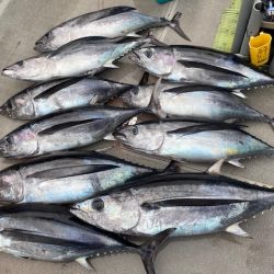 へいみつ丸 釣果