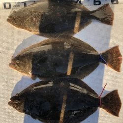 Magic(マジック) 釣果