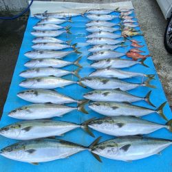 まるいち丸 ZERO-1 釣果