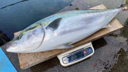 まるいち丸 ZERO-1 釣果