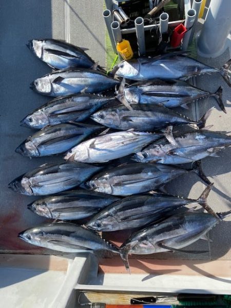 へいみつ丸 釣果