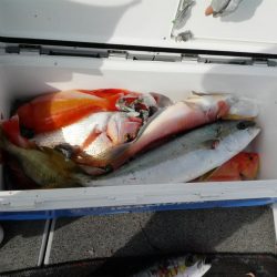 第二大福丸 釣果