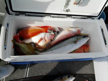 第二大福丸 釣果