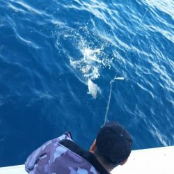 第五慶門丸 釣果