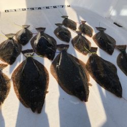 Magic(マジック) 釣果